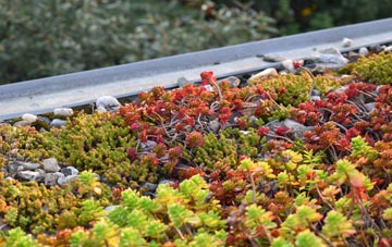 the cost of Westville green roof installation