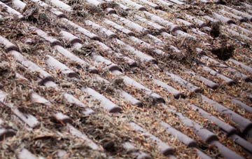 Westville roof cleaning companies