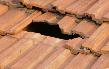 roof repair Westville